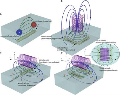 Solenoidal Micromagnetic Stimulation Enables Activation of Axons With Specific Orientation